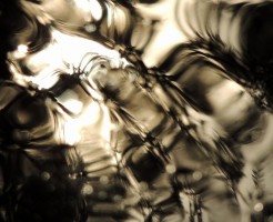 a0960_005893_m