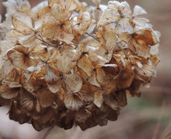 a0960_007105_m