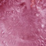 【ココナッツオイル】血流改善「血管をやわらかく!!」