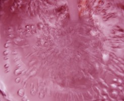 a1180_006859_m