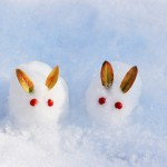 【ココナッツオイル】乾燥 カサカサ ハリが…。「老化を加速させない3つの使用方法」