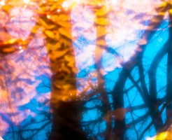 a1380_001668_m