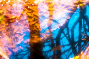 a1380_001668_m