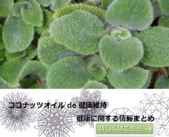 TOPアイキャッチ　健康
